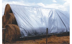 Tents 6x8m, bl.110g/m². Cena norādīta ar PVN par gab. Bezmaksas piegāde